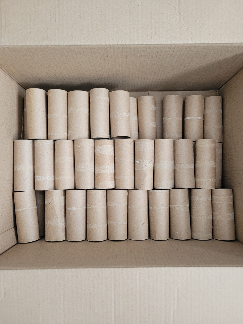 Bulk Kraft Paper Tubes - 58 Toilet Paper Rolls, Arts & Crafts